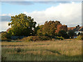 Waste ground, Grays