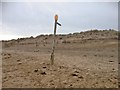 SD2708 : Access Marker and Signpost for Nicotine Path, Formby Beach by David Dixon