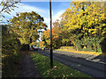 SP3780 : Autumn on Clifford Bridge Road, Walsgrave, Coventry by Robin Stott