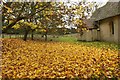 SU4580 : Leaves in the Churchyard by Bill Nicholls