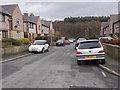 Douglas Avenue - viewed from Royds Avenue