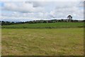 After the silage was lifted, Earlshill