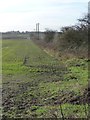 Field boundary with pylons, south of Wand Lane