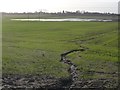 Waterlogged field, west of Hensall