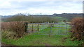 Monmouthshire orchard country