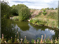 Fishing pond, Kennington Park