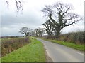 The Carlisle road out of Great Orton