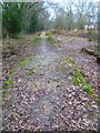 Dirt jumps west of Broadbridge Heath Road