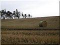 Stubble and round bale, Balnacake