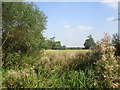 Field off Vicarage Lane