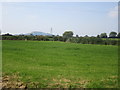 View towards Brent Knoll