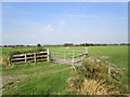 Gate into a grass field