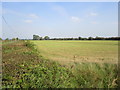 Field opposite Vole Farm