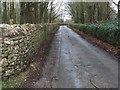 Road through Tythegston Estate