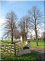 Entrance to Coldhill Farm