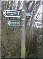 Siston Brook paths