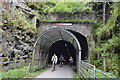 SK1871 : Headstone Tunnel, eastern portal by N Chadwick