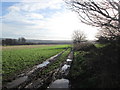 Track towards Field Lane at Lower High Fields