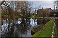 Reflections in the pond at Higher Whitley