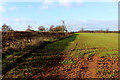 Field beside Holme Farm Lane