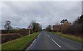 College Road near Hallands Farm