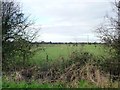 Sheep pastures west of Fenton Common