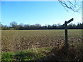 Footpath across muddy field south of Theale Farm