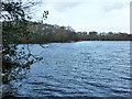 Frensham Great Pond