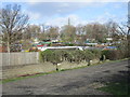 Allotments at Handsworth