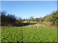 Footpath towards Shortheath Common