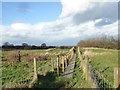 Fenced and duckboarded path east of Crewe