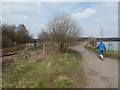 Chasewater railway and the footpath cross the reservoir by a causeway