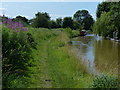 Trent & Mersey Canal towpath at Wheelock