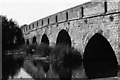 TL1351 : Great Barford bridge by John Winder