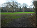 Footpath goes northwards from the Downs Link