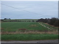 Farmland and track north of Scarborough Road (A1039)