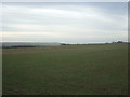 Farmland off Filey Road