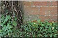 Worn benchmark on Rectory Cottage, Corscombe