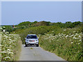 Lane to Hartland in Devon