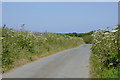 Lane to Hartland, Devon