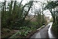 Road past Meer Hay Manor near Beaminster