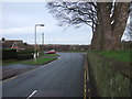 Church Lane, Cayton