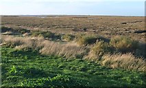 TG0345 : Marshland around the Glaven estuary by Derek Harper