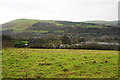 Hillside above Uppermill