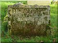 SK8613 : Church of St Mary, Ashwell - gravestone by Alan Murray-Rust