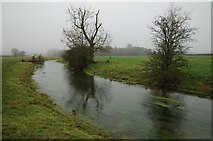 ST9898 : The River Thames near its source by Philip Halling