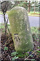 Benchmark on milestone beside A338