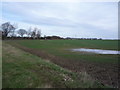 Crop field beside the A165