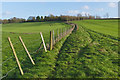 Footpath near Tongham