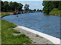 North along the Trent & Mersey Canal, Middlewich